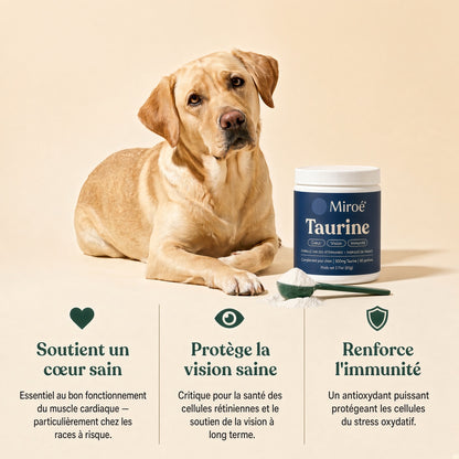 Miroé Taurine